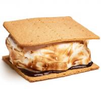 Giant S'more Cake image