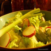 Salad With Radish and Green Onions_image