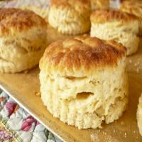 Savory Cheese and Herb Biscuits image
