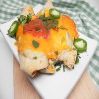 Skinny Chicken Enchiladas_image