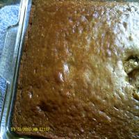 Chocolate Cake Made With Salad Dressing_image