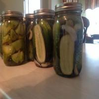 Garlic Dill Pickles and Pickled Green Tomatoes image