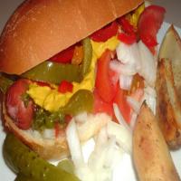 Chicago Style Hot Dogs and Fries_image