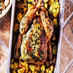 Roast chicken with dill & potatoes image
