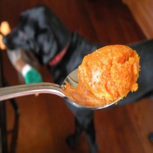 Cleo's Pumpkin Dog Biscuits_image