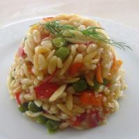 Orzo Pilaf with Vegetables_image