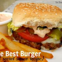 The Best Hamburger Recipe - (4.5/5)_image