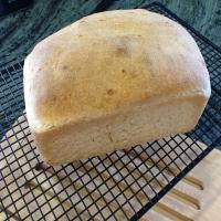Thermomix Bread Recipe #2_image