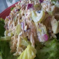Tangy Chicken Salad with Pecans_image