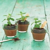 Potted Chocolate-Mint Puddings image