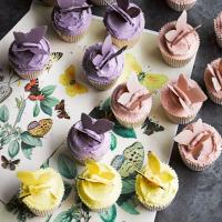 Butterfly cupcakes image