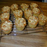 Apricot Walnut Oatmeal Muffins (No Flour!) SBD Phase 2&3 image