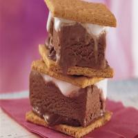 S'mores Ice-Cream Sandwiches image
