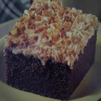 Crunchy-Topped Cocoa Cake_image