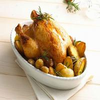 Lemon Rosemary Chicken with Potatoes image