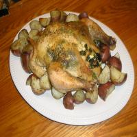 Greek Style Roasted Chicken_image
