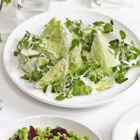 Green salad with buttermilk dressing image