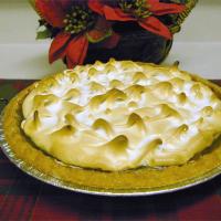 Sour Cream Raisin Pie IV image
