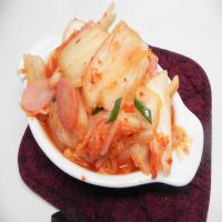 Vegetarian Kimchi image