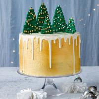 Winter spice cake with chocolate trees image
