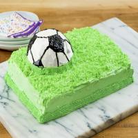 Championship Soccer Ball Cake image