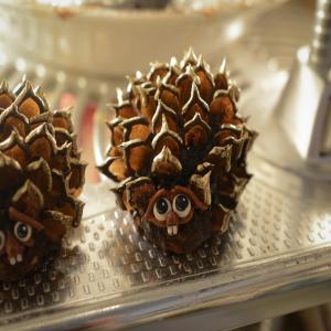 Pinecone Critters_image