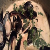 Creamy Mussel Soup_image