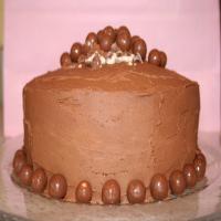 Deep Chocolate Cake With Double-Malt Topping image