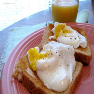 Nif's Perfect Poached Egg_image