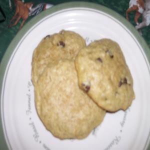 Chocolate Chip Pumpkin Cookies_image