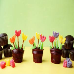 Flowerpot Cupcakes_image
