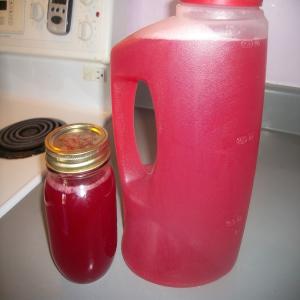 Rhubarb Raspberry Concentrate, for Canning_image