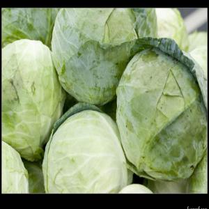 Creamed Cabbage Variations image