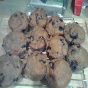 Blueberry Oatmeal Muffins (Low Sugar) image