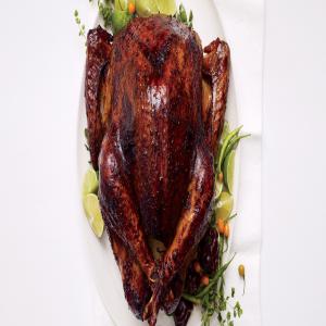 Chile-Rubbed Thanksgiving Roast Turkey image