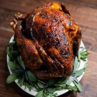 AB's Deep-Fried Turkey 2.0_image