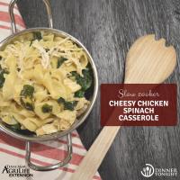 Cheesy Chicken Spinach Noodle Casserole_image