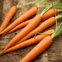 Carrots With Orange and Cardamom image