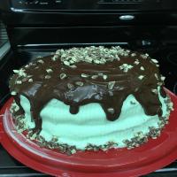 Andes Mint Chocolate Cake image