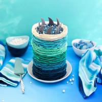 Ombre Wave Shark Cake_image