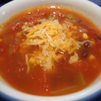 Spicy Southwestern Vegetable Soup image