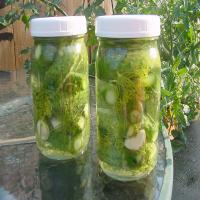 Solar Dill Pickles_image
