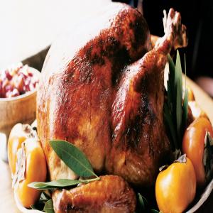 Miso-Rubbed Turkey with Turkey Gravy_image