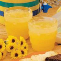 Citrus Lemonade_image