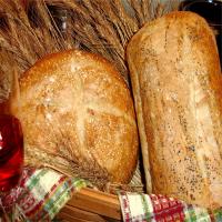 French Hearth Bread image