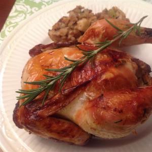 Grilled Game Hens with Blood Orange and Rosemary image