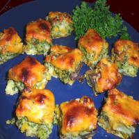 Cheddar Cheese and Broccoli Appetizers image