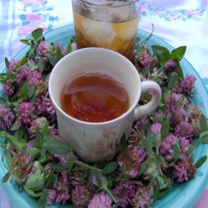 Red Clover Tea image