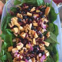 Thanksgiving Spinach Salad image