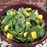 Spinach Salad with Mangos, Dried Cranberries and Chocolate Vinaigrette_image